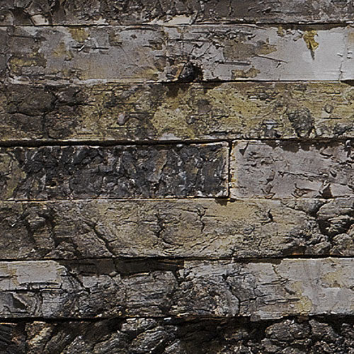 Papier Fototapete | Birkenrinde | 368 x 254 cm