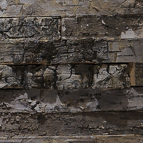 Papier Fototapete | Birkenrinde | 368 x 254 cm