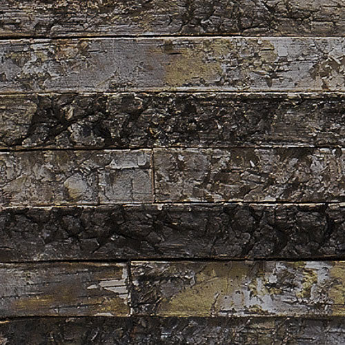Papier Fototapete | Birkenrinde | 368 x 254 cm