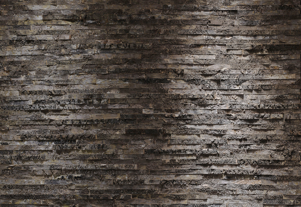 Papier Fototapete | Birkenrinde | 368 x 254 cm
