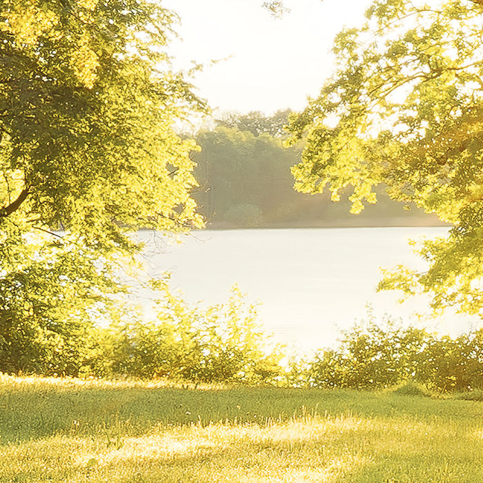 Komar NEU | Digitaldruck Vlies Fototapete - Golden Moment - Größe 400 x 250 cm