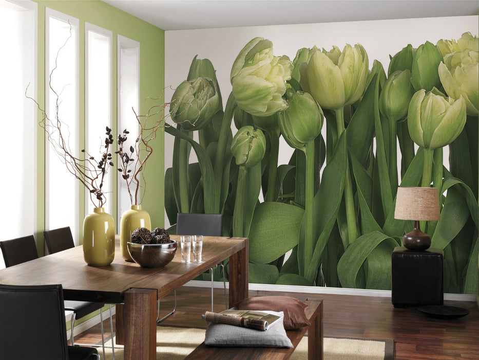 Papier Fototapete | Tulips | 368 x 254 cm