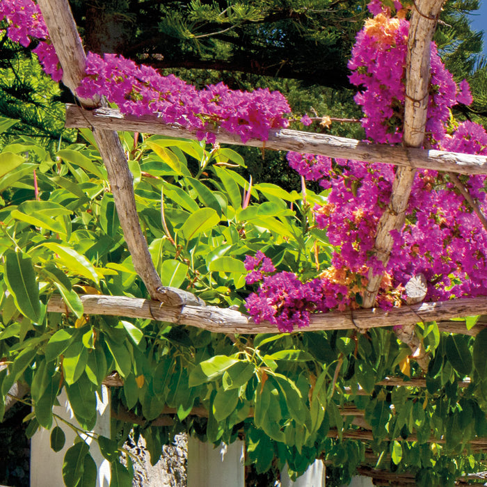 Papier Fototapete | Amalfi | 368 x 254 cm