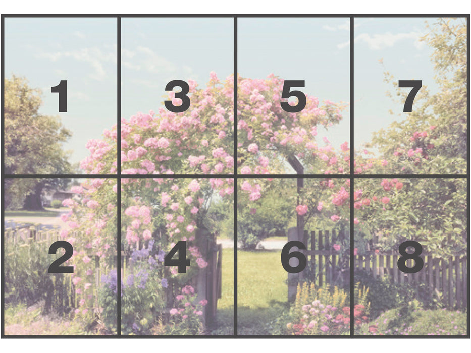 Papier Fototapete | Rose Garden | 368 x 254 cm