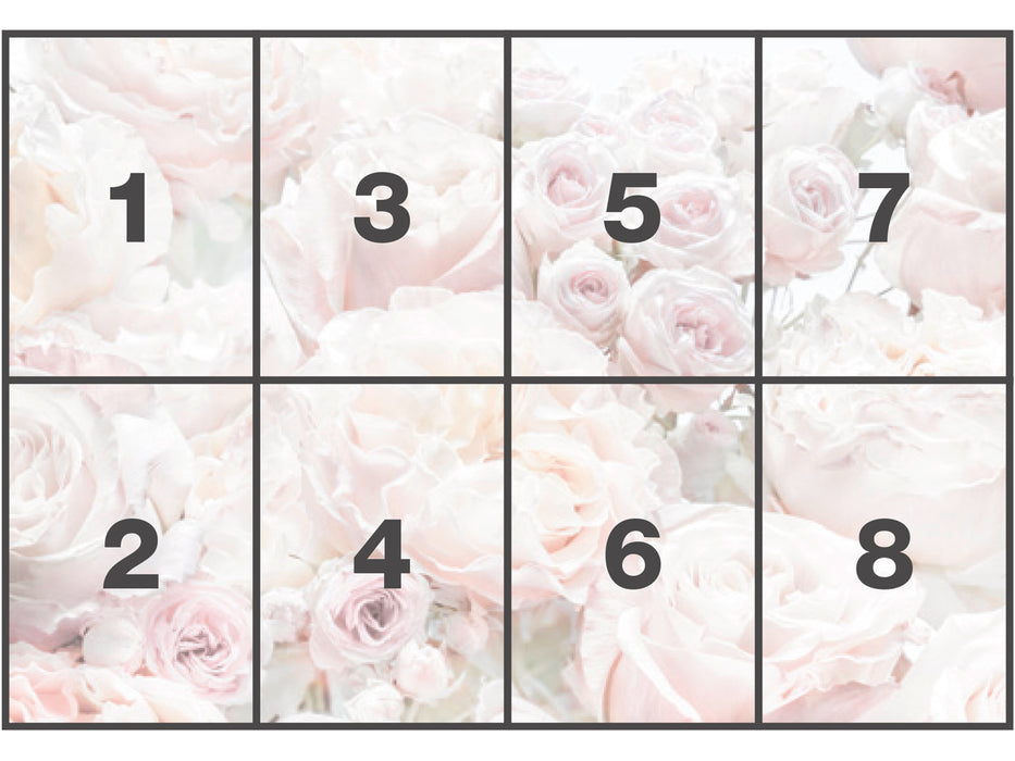 Papier Fototapete | Spring Roses | 368 x 254 cm