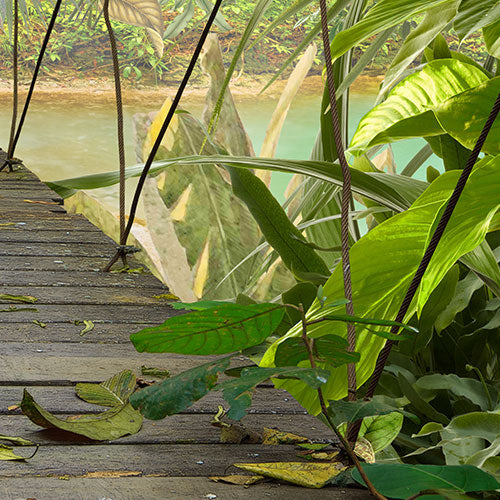 Papier Fototapete | Wild Bridge | 368 x 254 cm