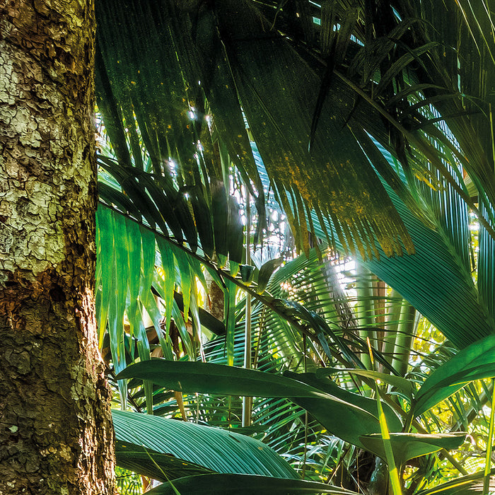 Papier Fototapete | Jungle Trail | 368 x 254 cm
