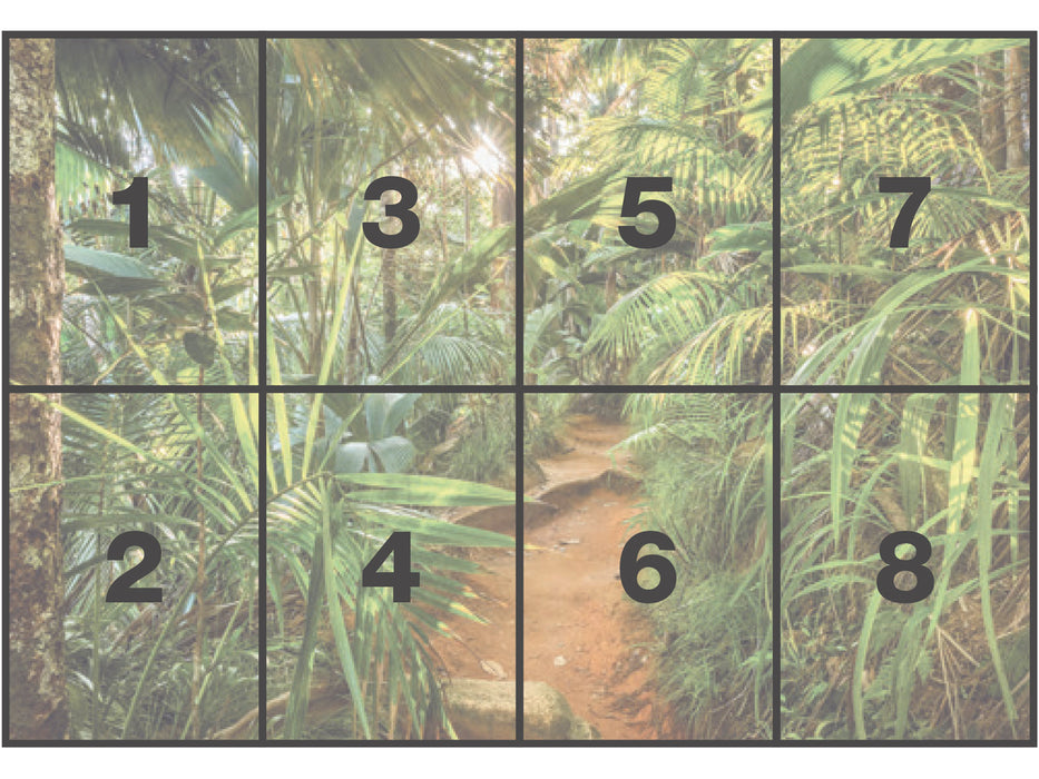 Papier Fototapete | Jungle Trail | 368 x 254 cm