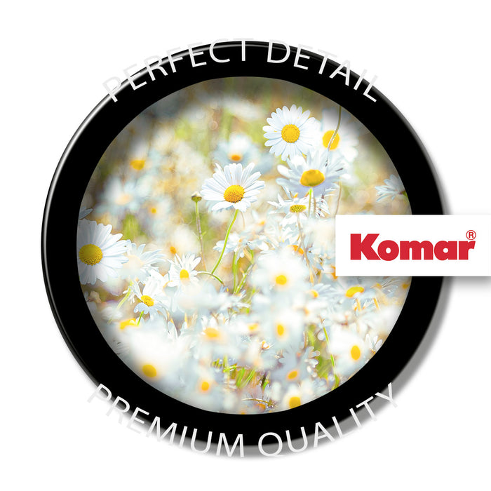 Papier Fototapete | Daisies | 368 x 254 cm