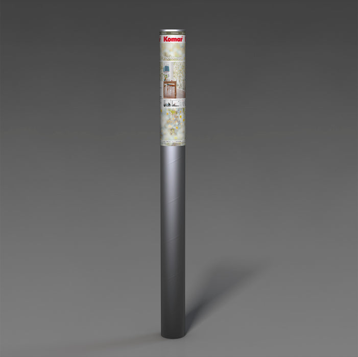 Papier Fototapete | Daisies | 368 x 254 cm