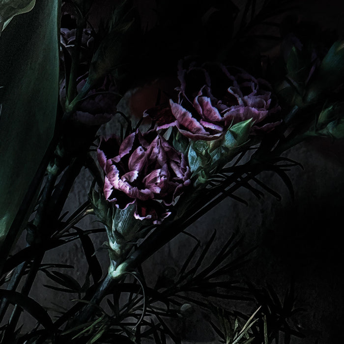 Papier Fototapete | Still Life | 368 x 254 cm