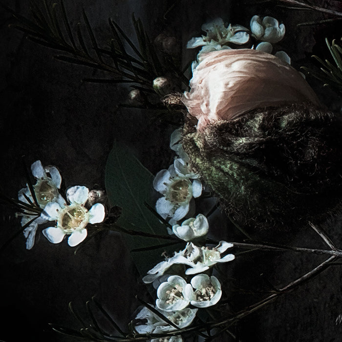 Papier Fototapete | Still Life | 368 x 254 cm