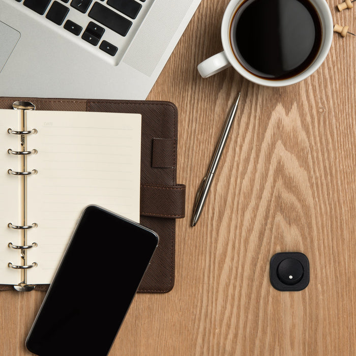 Satz von 10 Schaltern die Unterputzmontage D21x21, Kunststoff, Schwarz