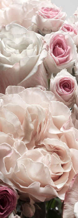 Komar NEU | Digitaldruck Vlies Fototapete - Englische Rosen - Größe 100 x 280 cm