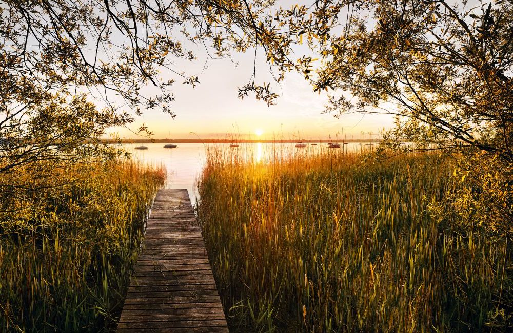 Komar | Vlies Fototapete | Lakeside