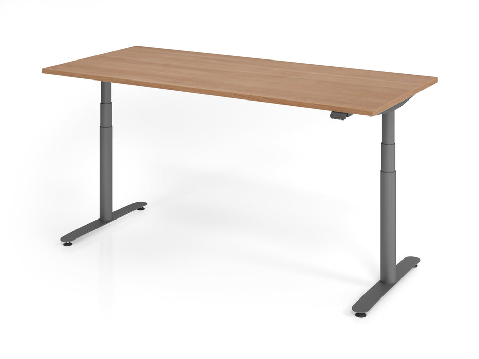 Hammerbacher | Sitz-Steh-Schreibtisch el.180x80cm Nussbaum