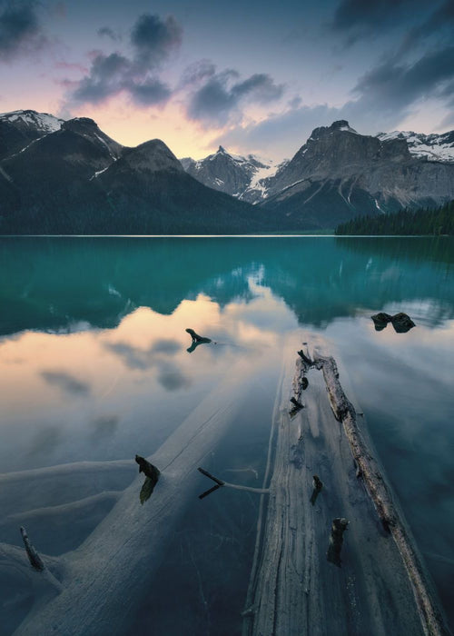 Komar | Vlies Fototapete | Burning Emerald