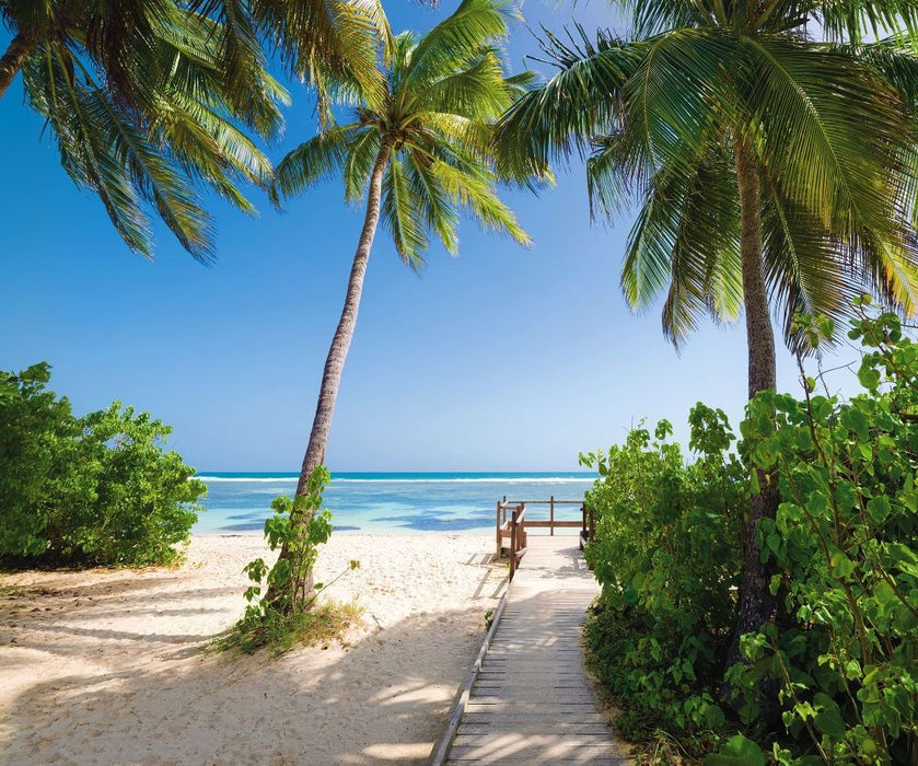 Komar | Vlies Fototapete | Palmy Beach