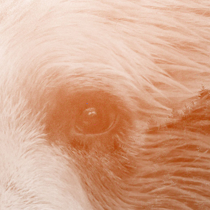 Dot | selbstklebende Vlies Fototapete | Bearava | 125 x 125 cm