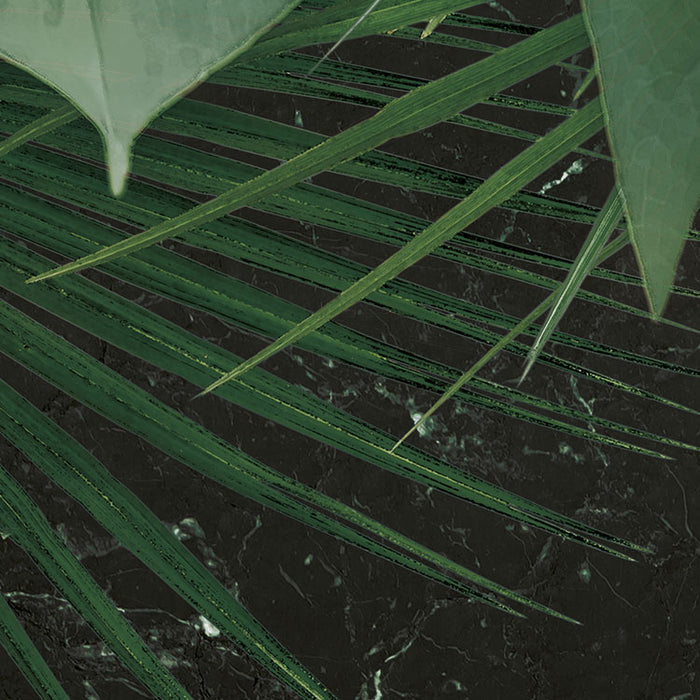 Dot | selbstklebende Vlies Fototapete | Novel Monstera | 125 x 125 cm