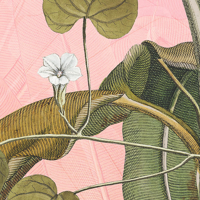 Dot | selbstklebende Vlies Fototapete | Botany | 125 x 125 cm