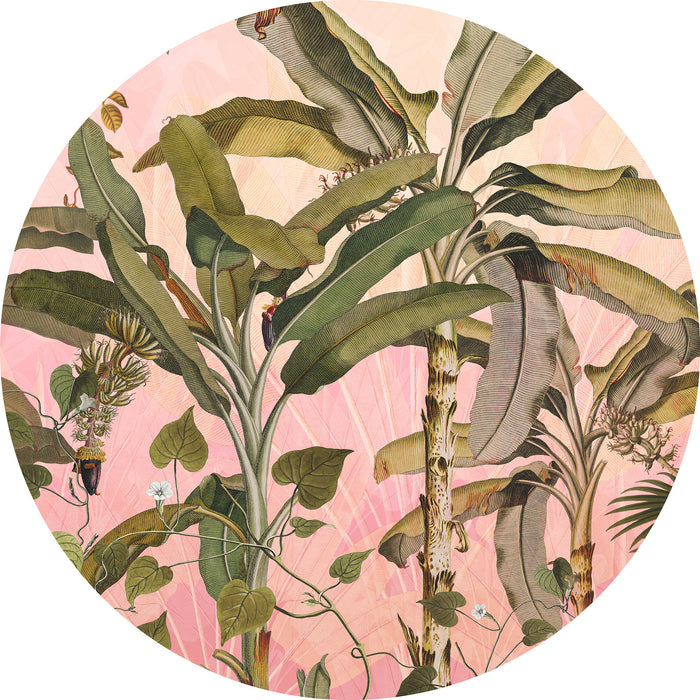 Dot | selbstklebende Vlies Fototapete | Botany | 125 x 125 cm