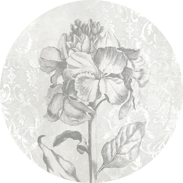 Dot | selbstklebende Vlies Fototapete | Barock Beauty | 125 x 125 cm
