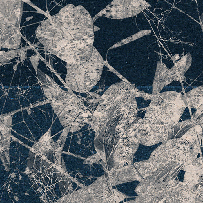 Dot | selbstklebende Vlies Fototapete | Branch | 125 x 125 cm