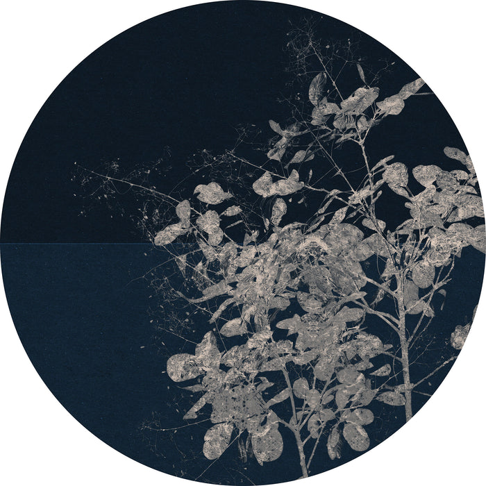 Dot | selbstklebende Vlies Fototapete | Branch | 125 x 125 cm