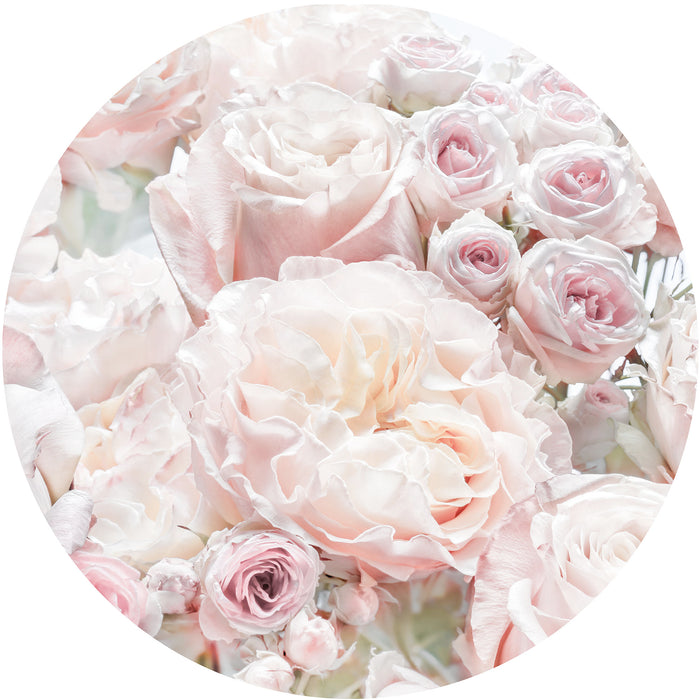 Dot | selbstklebende Vlies Fototapete | Pink and Cream Roses | 125 x 125 cm