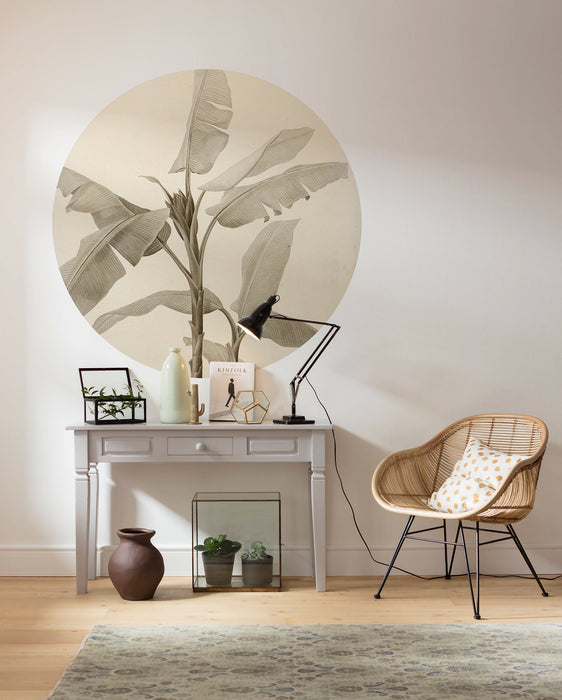 Dot | selbstklebende Vlies Fototapete | Banana Plant | 125 x 125 cm