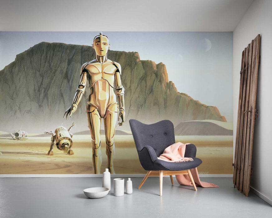 Digitaldruck Vlies Fototapete | Star Wars Classic RMQ Droids | 500 x 250 cm