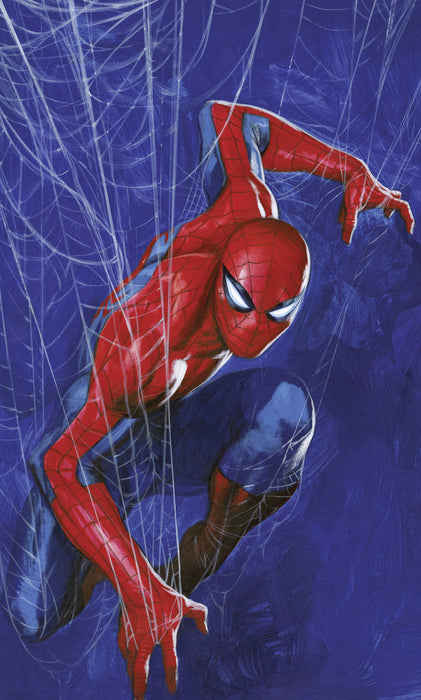 Vlies Fototapete | Marvel Spider | Man Spider Web | 150 x 250 cm