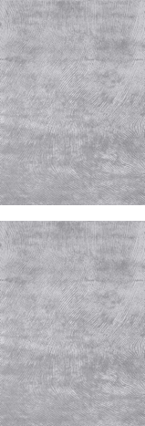 Fargotex | CANYON Silver
