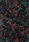 Fargotex | SECRET Black