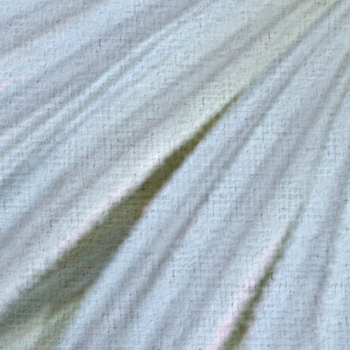 Komar NEU | Digitaldruck Vlies Fototapete - Vague Botany - Größe 200 x 250 cm