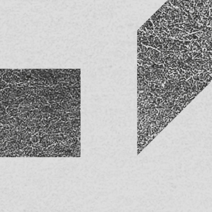 Komar NEU | Digitaldruck Vlies Fototapete - Jeux de Lignes - Größe 300 x 250 cm