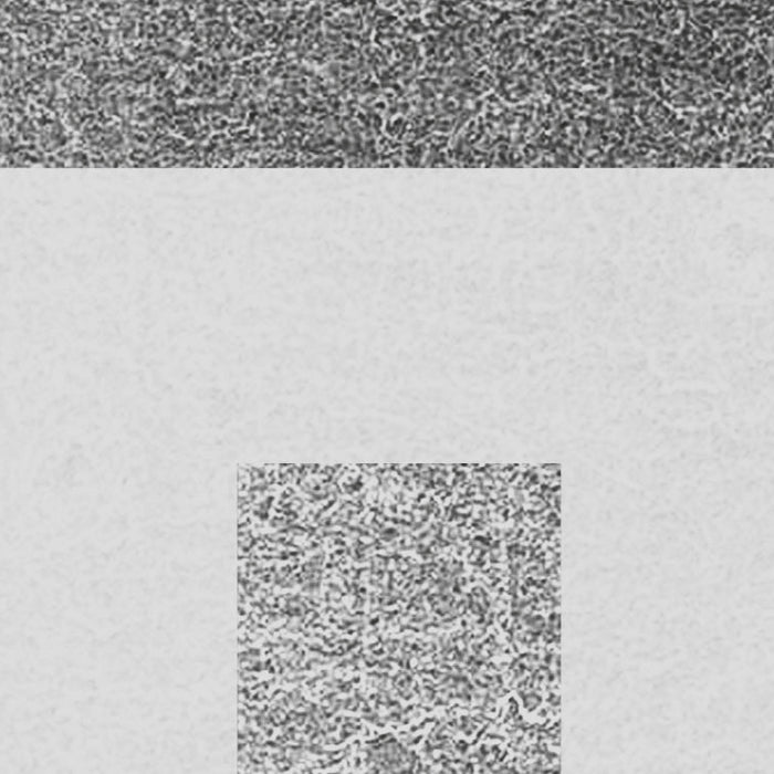 Komar NEU | Digitaldruck Vlies Fototapete - Jeux de Lignes - Größe 300 x 250 cm