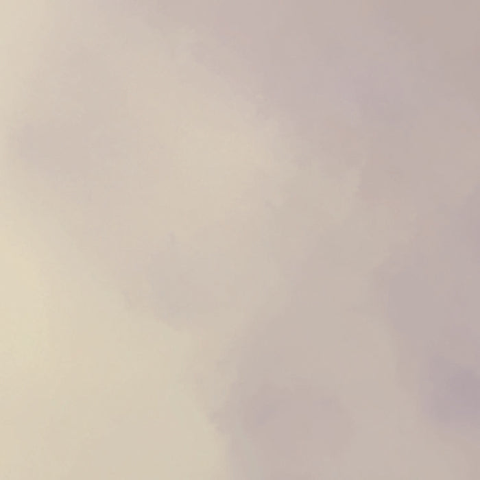 Komar NEU | Digitaldruck Vlies Fototapete - Lavender Clouds - Größe 350 x 250 cm