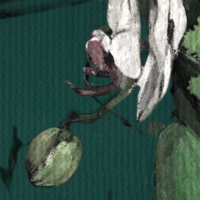 Komar NEU | Digitaldruck Vlies Fototapete - Orch-Idee - Größe 350 x 250 cm