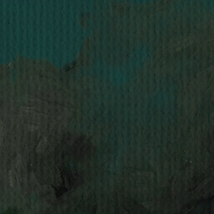 Digitaldruck Vlies Fototapete | Orch | Idee | 350 x 250 cm