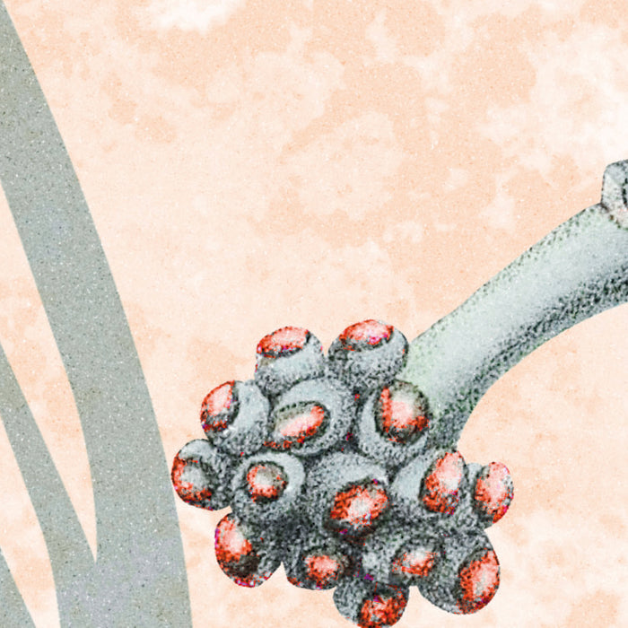 Komar NEU | Digitaldruck Vlies Fototapete - Soft Jungle - Größe 350 x 250 cm