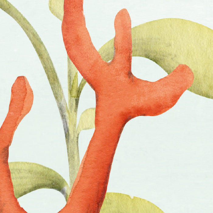 Komar NEU | Digitaldruck Vlies Fototapete - Coral World - Größe 350 x 250 cm