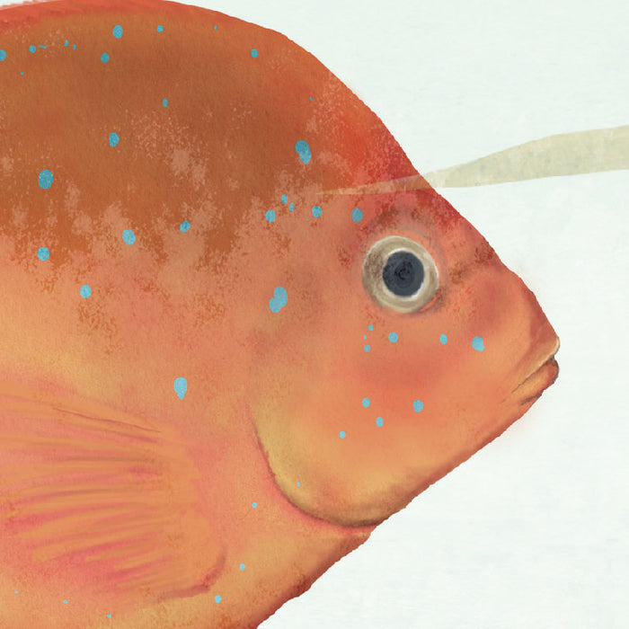 Komar NEU | Digitaldruck Vlies Fototapete - Coral World - Größe 350 x 250 cm