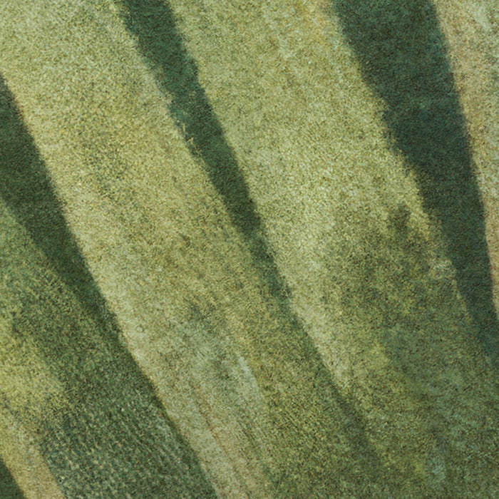 Komar NEU | Digitaldruck Vlies Fototapete - Rousseau Remix - Größe 350 x 250 cm