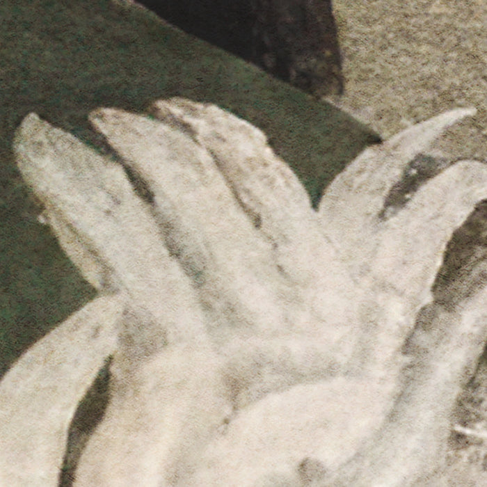 Komar NEU | Digitaldruck Vlies Fototapete - Rousseau Remix - Größe 350 x 250 cm