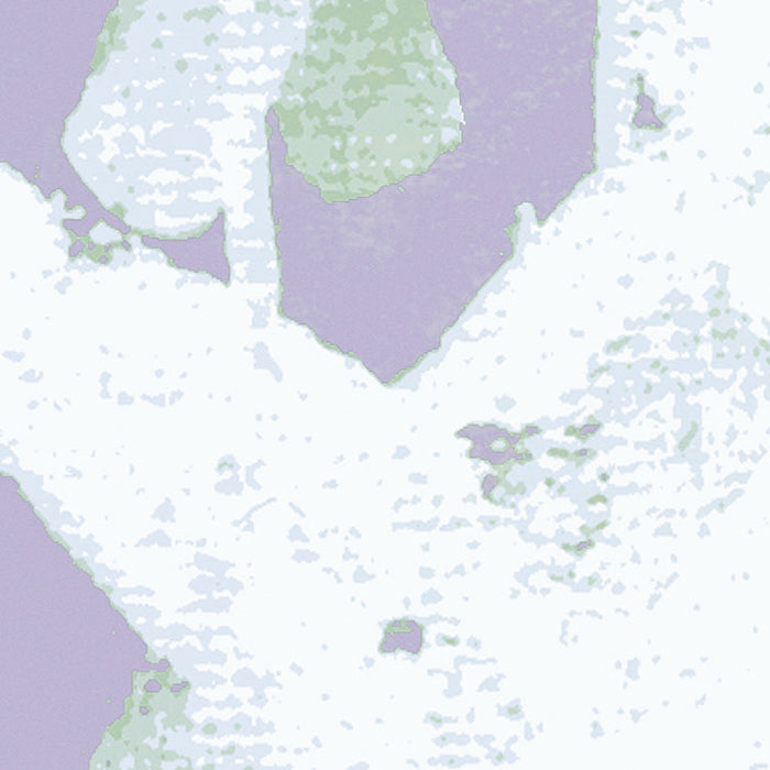 Komar NEU | Digitaldruck Vlies Fototapete - Crazy Willow - Größe 350 x 250 cm