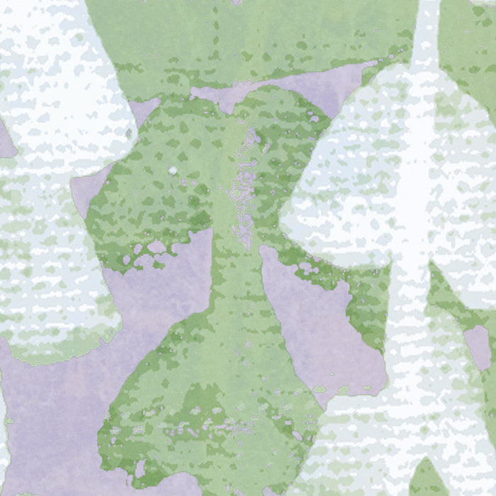 Komar NEU | Digitaldruck Vlies Fototapete - Crazy Willow - Größe 350 x 250 cm