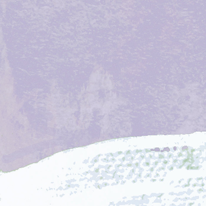 Komar NEU | Digitaldruck Vlies Fototapete - Crazy Willow - Größe 350 x 250 cm