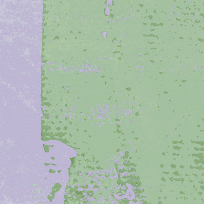 Komar NEU | Digitaldruck Vlies Fototapete - Crazy Willow - Größe 350 x 250 cm